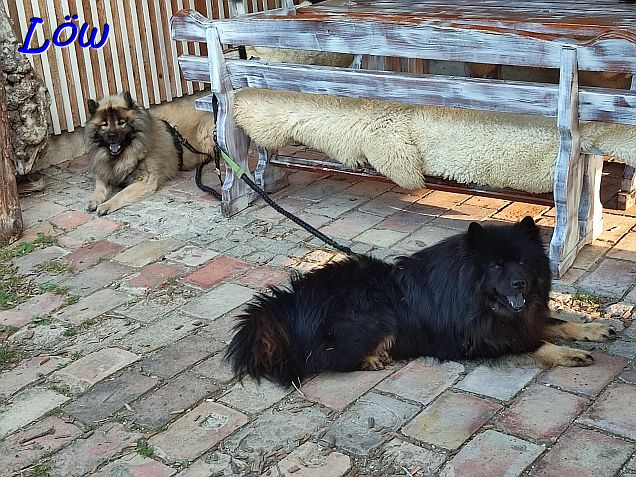 18.7.2024 - Chillen auf der Hütt
